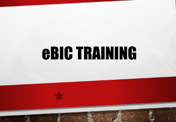 Find out about eBIC workshops and courses