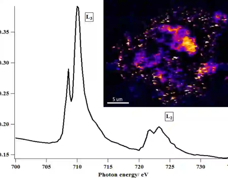 NEXAFS on Fe nanoparticles. Courtesy of Neil Telling, Keele University