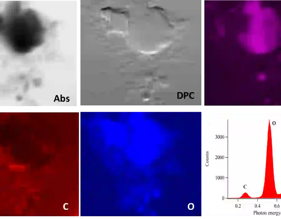 Transmission images and XRF maps of particles from Arctic sediments.  L. Benning, U Leeds