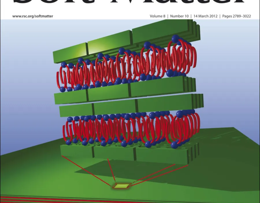 Science highlight - Cover of Soft Matter: Dane, T. G. et al., Soft Matter 2012, 8, 2824. 
