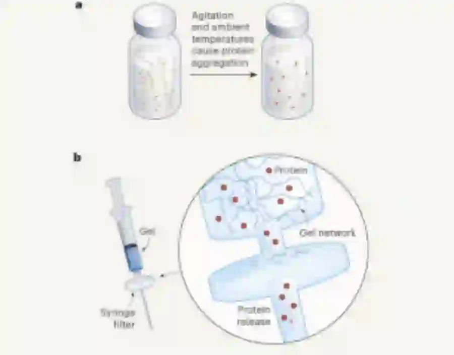 Mechanical release of homogenous proteins from supramolecular gels