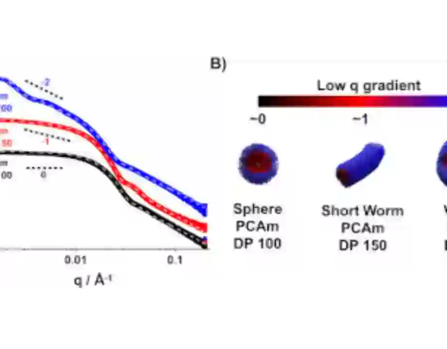 Small-angle X-ray scattering analysis demonstrates how different low q gradients in PNAM40-b-PCAmx copolymer dispersions at pH 2 correspond to distinct nanoparticle morphologies, such as spheres, worms, and vesicles.