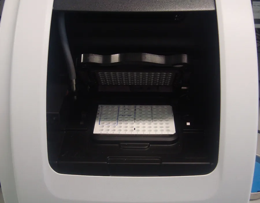 RT-PCR for nano-DSF