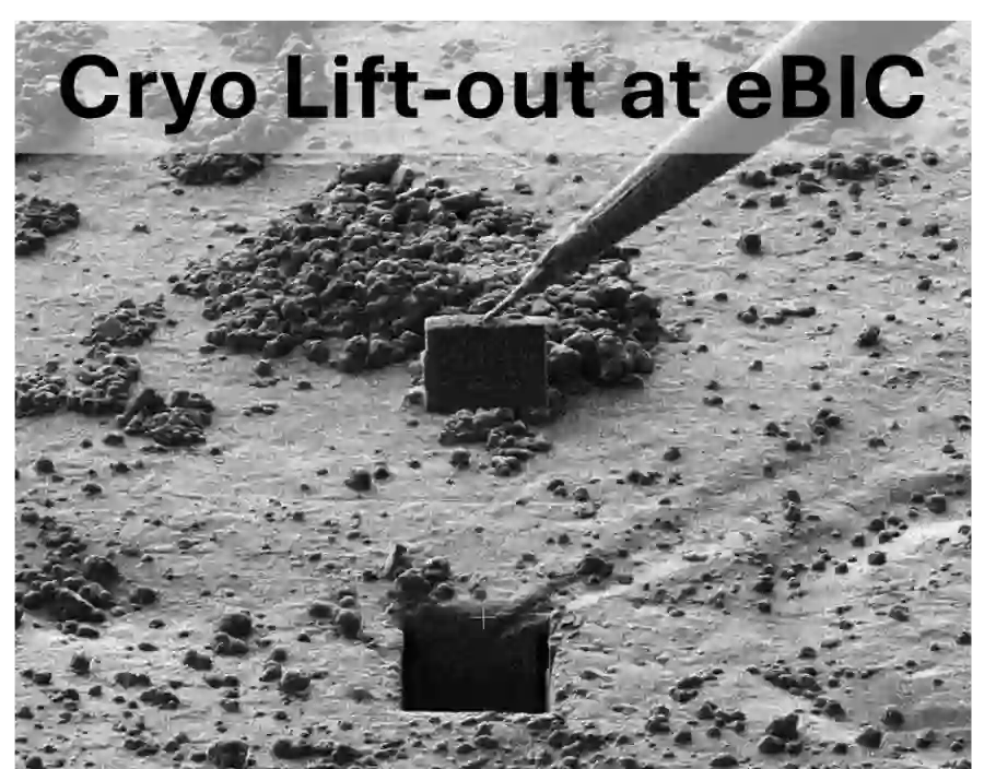 Click above for the cryo Lift-out call!