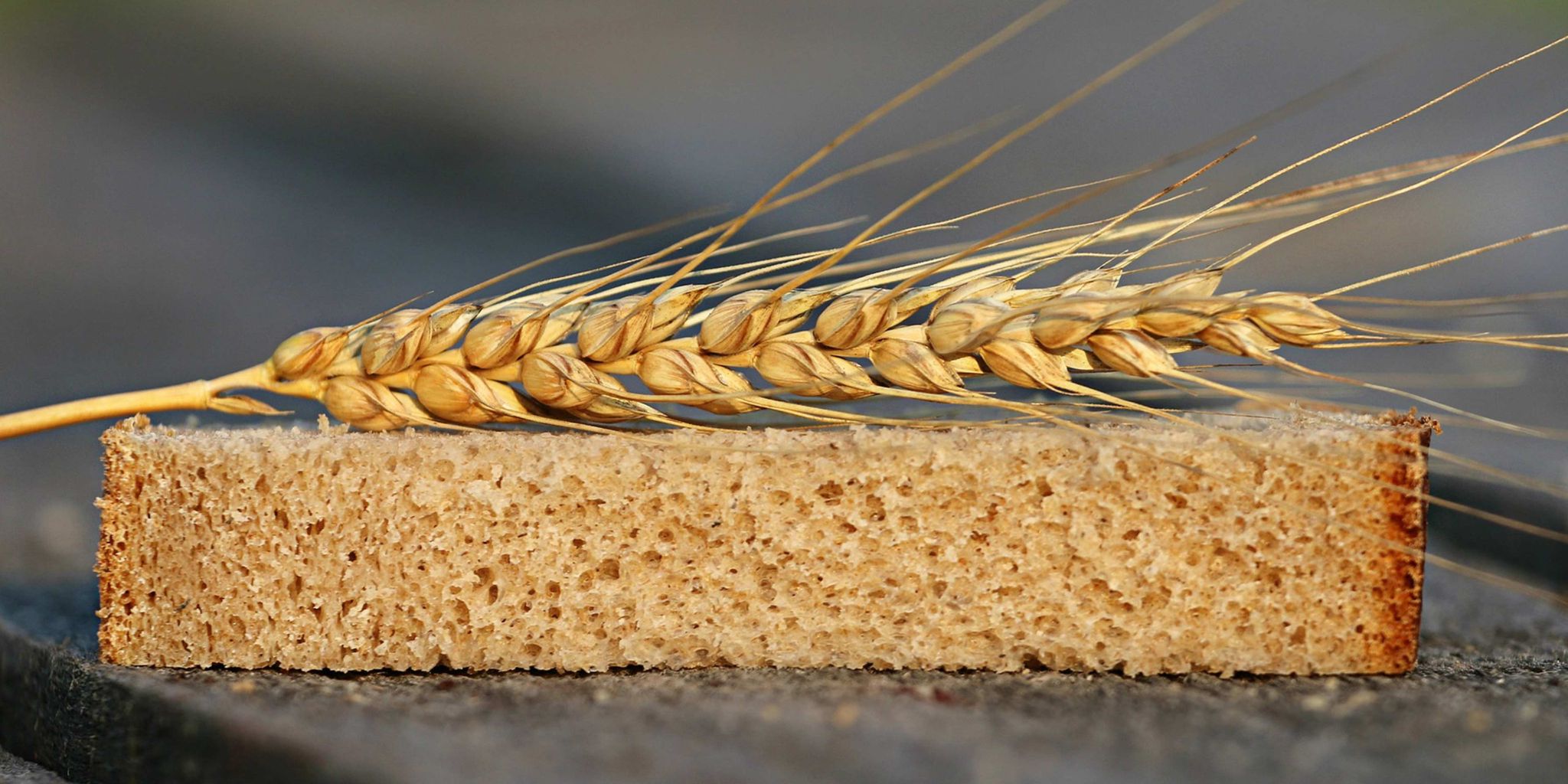 biostimulant-selenium-rich-wheat_hero
