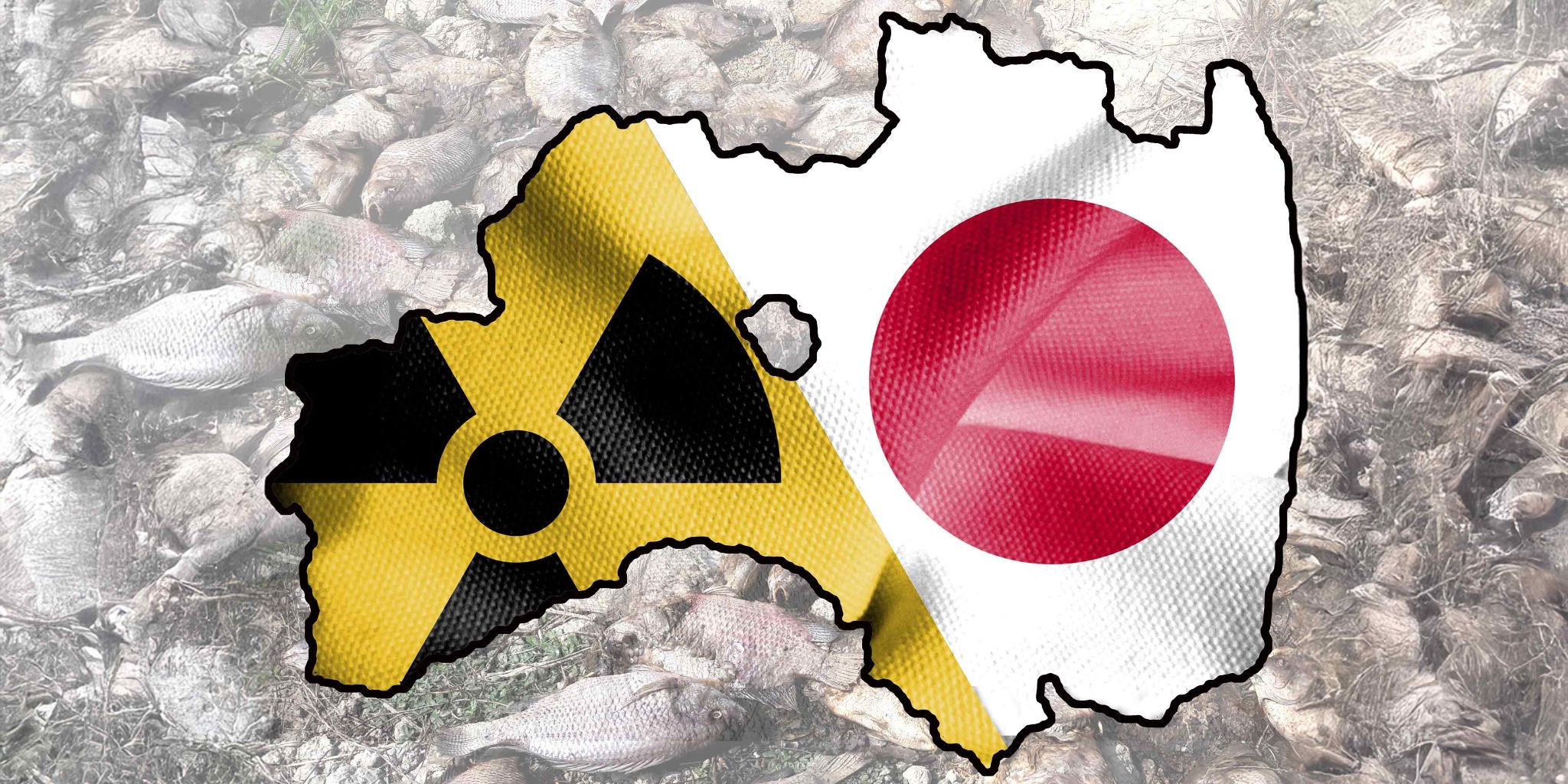 fukushima-hero