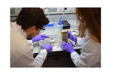 pic1-Lab