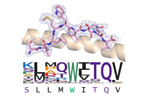 structure2