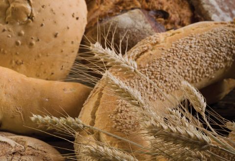 bread