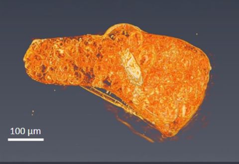 pic3-particle-sample