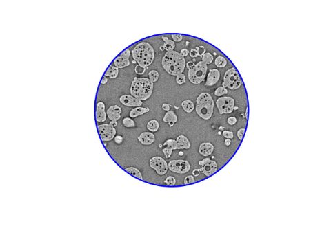 Phase-contrast_milk-powder