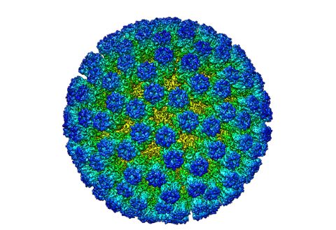 Virus-landing