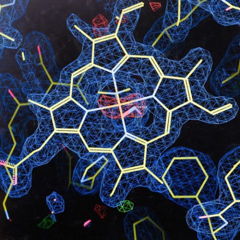 Structural-biolog-overview