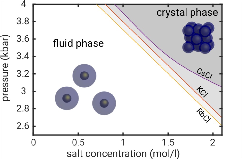 Fig. 2: Pressure – salt concentration phase diagram of AuNP@PEG. For low pressures, the particles are in the liquid state, beyond a critical pressure, face-centred cubic (fcc) superlattices are formed within solution. The crystallisation transition depends on the salt concentration as well as on the salt type. 
<br/>
<br/>