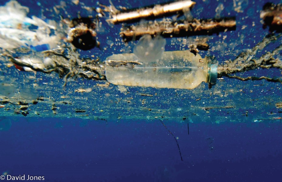 Figure 1: Single-use materials such as PET plastic bottles can persist for hundreds of years in<br/>the oceans, concentrating in huge ocean gyres such as the Great Pacific Garbage Patch. Photo<br/>credit: DAVID JONES.