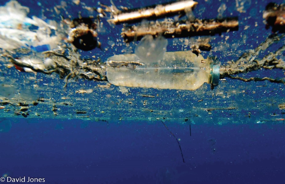 Figure 1: Single-use materials such as PET plastic bottles can persist for hundreds of years in
<br/>the oceans, concentrating in huge ocean gyres such as the Great Pacific Garbage Patch. Photo
<br/>credit: DAVID JONES.