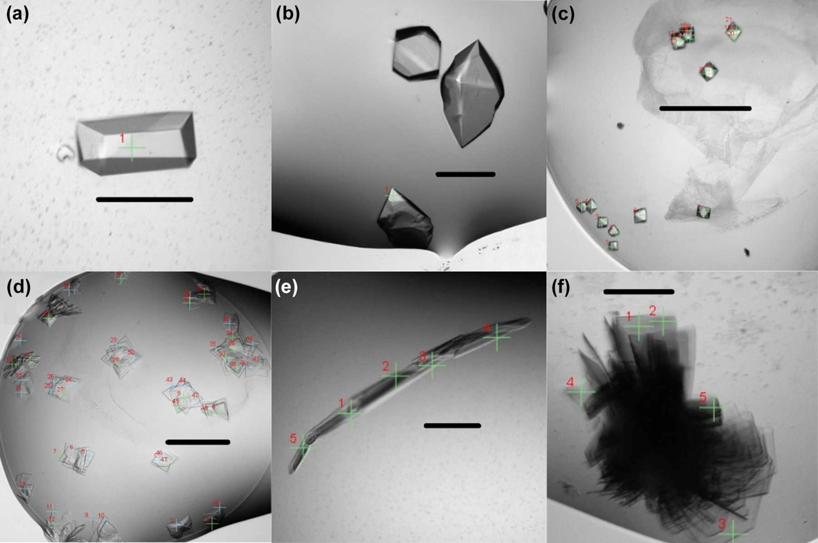 Examples of protein crystals imaged within crystallization plates. Crosshairs represent positions selected for data collection and crystal size is indicated by a scale bar. Crystal structures were obtained from all of these crystals at VMXi.