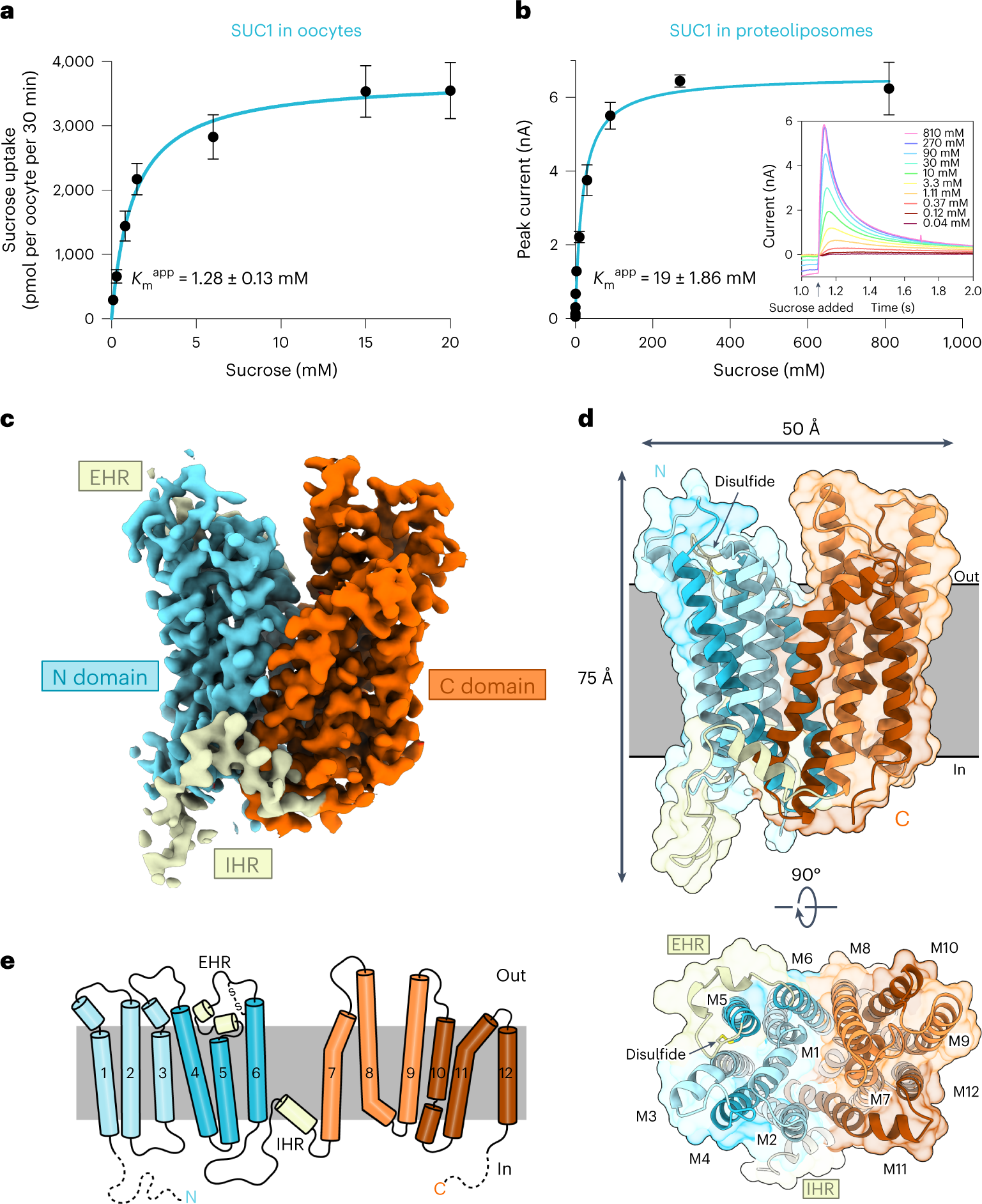 Figure 1 from the Article