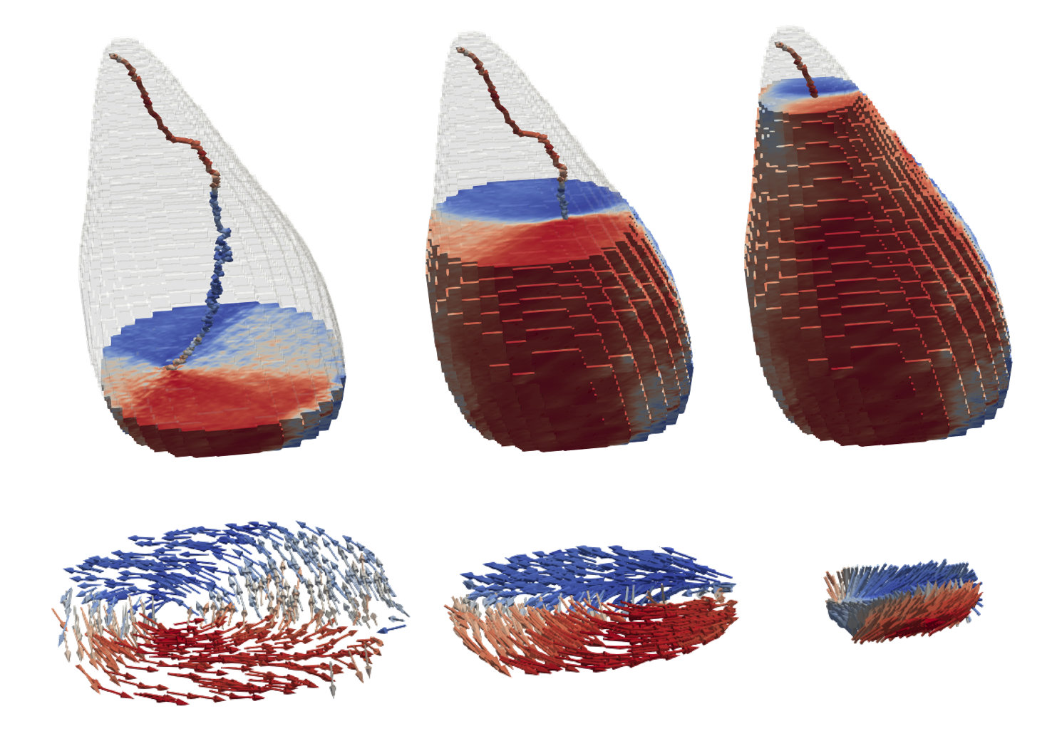Sections of the fossil's 3D magnetic volume at three different heights: The blue/red color indicates the component of the magnetization lying in the plane, with the magnetic moments swirling around a central line, forming a vortex pattern resembling a tornado (see projections at the bottom). The 3D reconstruction was created on the basis of 140 individual images from different angles. © Jeffrey Neethirajan/ MPI CPfs and Sergio Valencia/HZB