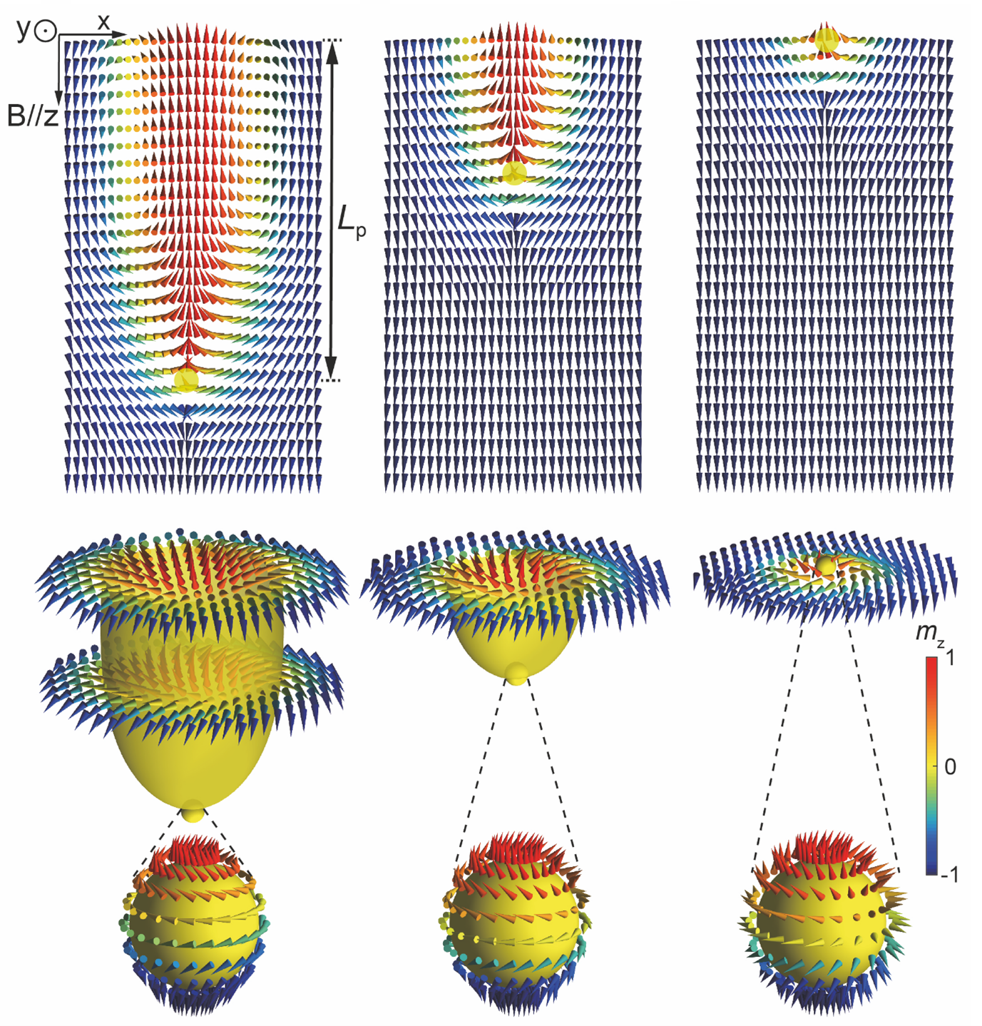 Figure 1. Illustration of the evolution of folding a skyrmion string into a monopole. So-called bobbers are stabilized in the near-interface region of the material. The terminating end resembles an emergent monopole configuration. If the penetration length of the bobber is reduced (by varying the temperature of the material), a pure monopole is emerging that floats on top of the chiral magnet.