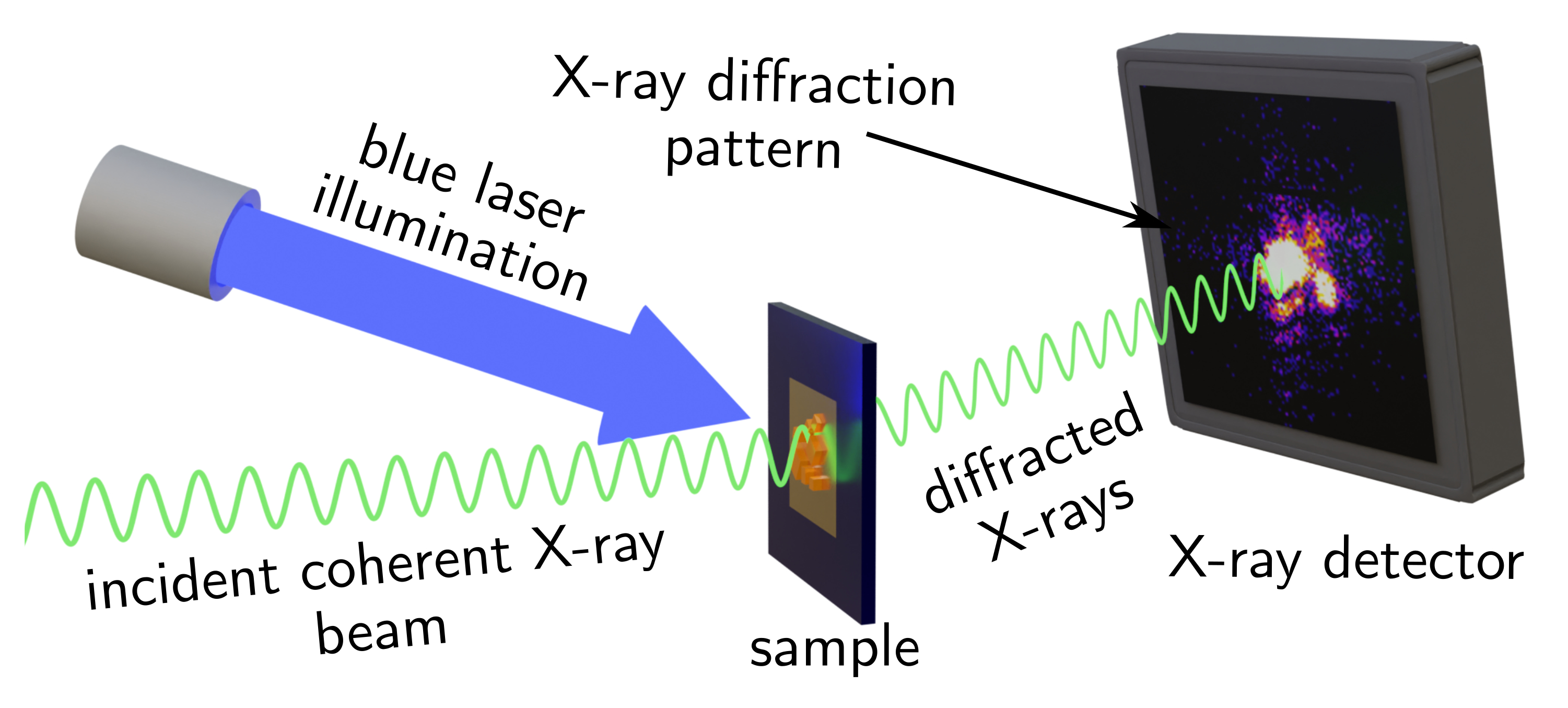 Figure 2. A schematic of the measurement setup. X-rays approach from the left and hit the sample crystals which are grown on an X-ray-transparent mount. Upon interacting with the crystals (diffracting) the X-rays change direction which is measured by the detector. The specific pattern made by where the X-rays hit the detector is analysed to produce the 3D images of the crystals. Adapted from Orr, K. W. P. et al., Adv. Mater. 35, 2305549 (2023) DOI: 10.1002/adma.202305549   