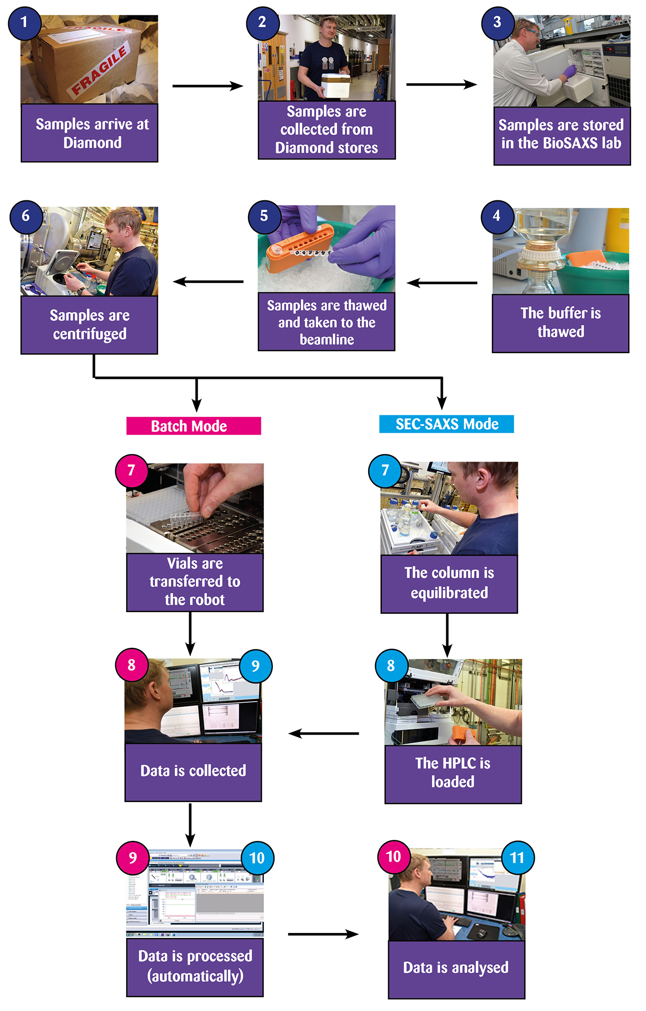 Biosaxs_process_diagram