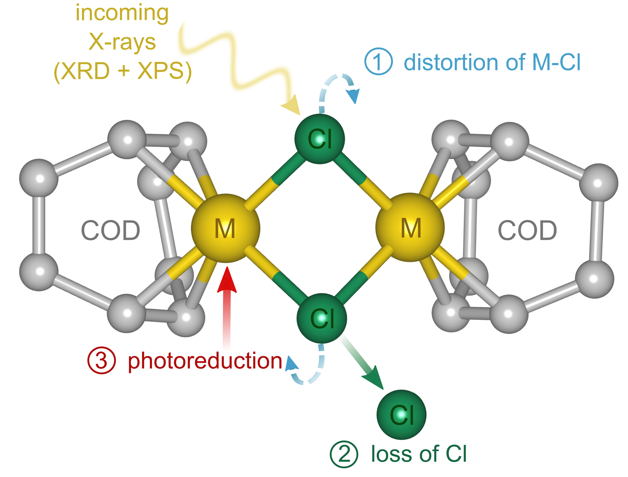 Schematic showing the molecular structure of [M(COD)Cl]2 and the different processes occurring upon X-ray irradiation during diffraction and photoelectron spectroscopy experiments.