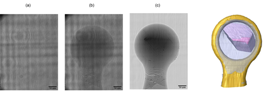 Figure 2. Left: Tomography projection images for background (a), sample (b) and flat-field-corrected images (c). Right: Volume rendering of segmentations a protein crystal sample. Transparent blue: mother liquor; gold: loop; pink: crystal; green: protein/detergent aggregate.