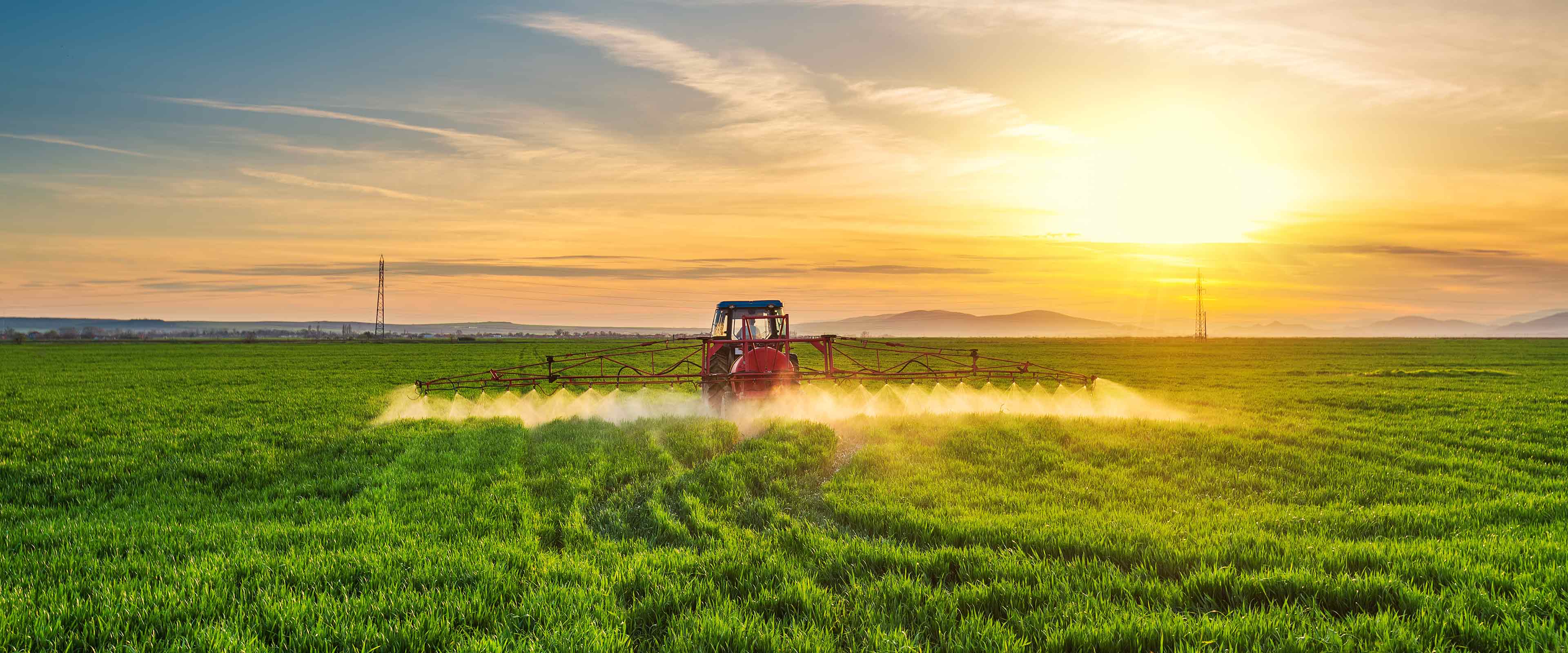 Fragment Screening Reveals Novel Opportunities for Herbicide Innovation