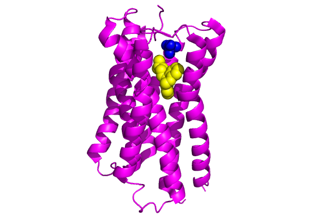 Image Crystal Structure of the human Histamine Receptor