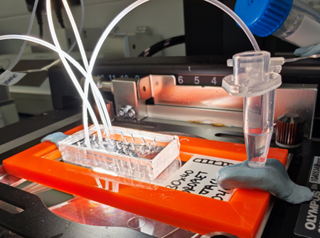A PDMS microfluidic chip is mounted on the microscope stage, with syringe pumps delivering aqueous and oil phases through connected tubing to enable droplet generation. The plug-and-play design allows rapid prototyping and directs the resulting emulsion into an outlet tube prefilled with mineral oil for stable droplet collection.