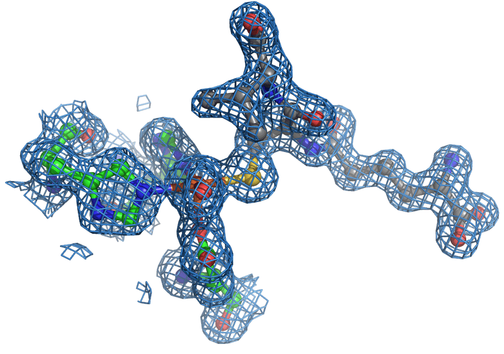 molecular movie