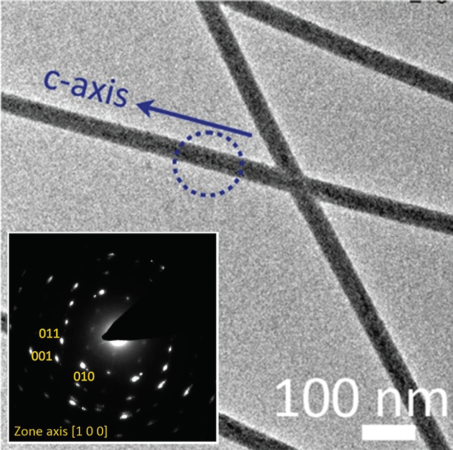 Figure 3: Transmission Electron Microscope (TEM) image and electron diffraction pattern
<br/>(inset) of an aragonite rod precipitated within a 50 nm pore.