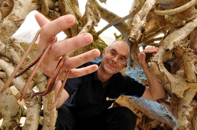Oxfordshire Science Festival