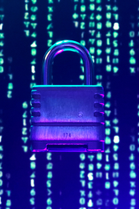 Image Challenge 4: Tailoring security awareness for a diverse audience 