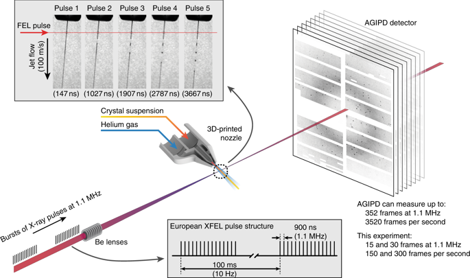 Megahertz serial crystallography. Pulses from the European XFEL were focused on the interaction region using a set of Beryllium lenses. Protein crystals in crystallization solution were introduced into the focused XFEL beam using a liquid jet of 1.8 µm diameter moving at speeds between 50 m/s and 100 m/s. Diffraction from the sample was measured using an AGIPD, which is capable of measuring up to 3520 pulses per second at megahertz frame rates. In-situ jet imaging (inset) showed that the liquid column does explode under the X-ray illumination conditions of this experiment using a jet with a speed of 100 m/s, but that the liquid jet recovered in less than 1 μs to deliver fresh sample in time for arrival of the next X-ray pulse. Images and movies of jets at different speeds are included in the supplementary material