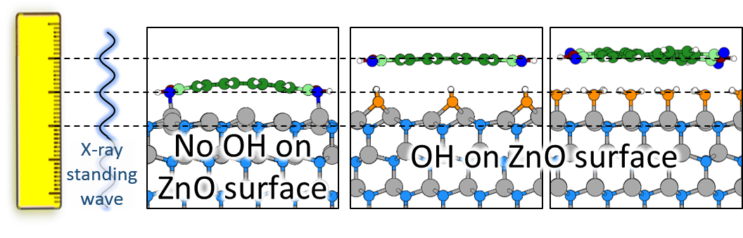 Simulated adsorption geometries for three of the models considered in this work. The horizontal lines indicate for each case the expected overlap between the X-ray standing wave and the oxygen atoms in the OH groups (orange) as well as the atoms that make up the PTCDI molecules.