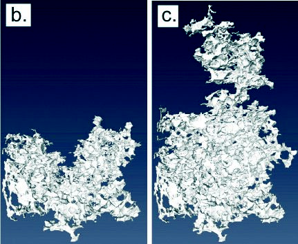 Figure 4: 3D dynamic imaging of injected supercritical CO2 in natural rock. Taken on I13 using fast flyscan tomography. Courtesy Matthew Andrew, Department of Earth Sciences and Engineering, Imperial College, London.