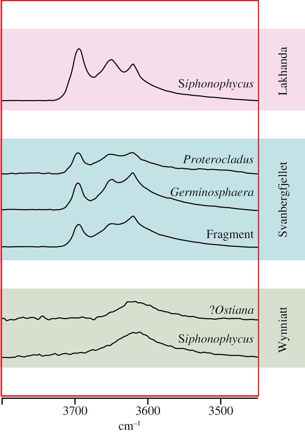 Representative Synchrotron IR microspectra (M-OH region) showing the mineralogical compositional changes of the clays of the different microfossils.