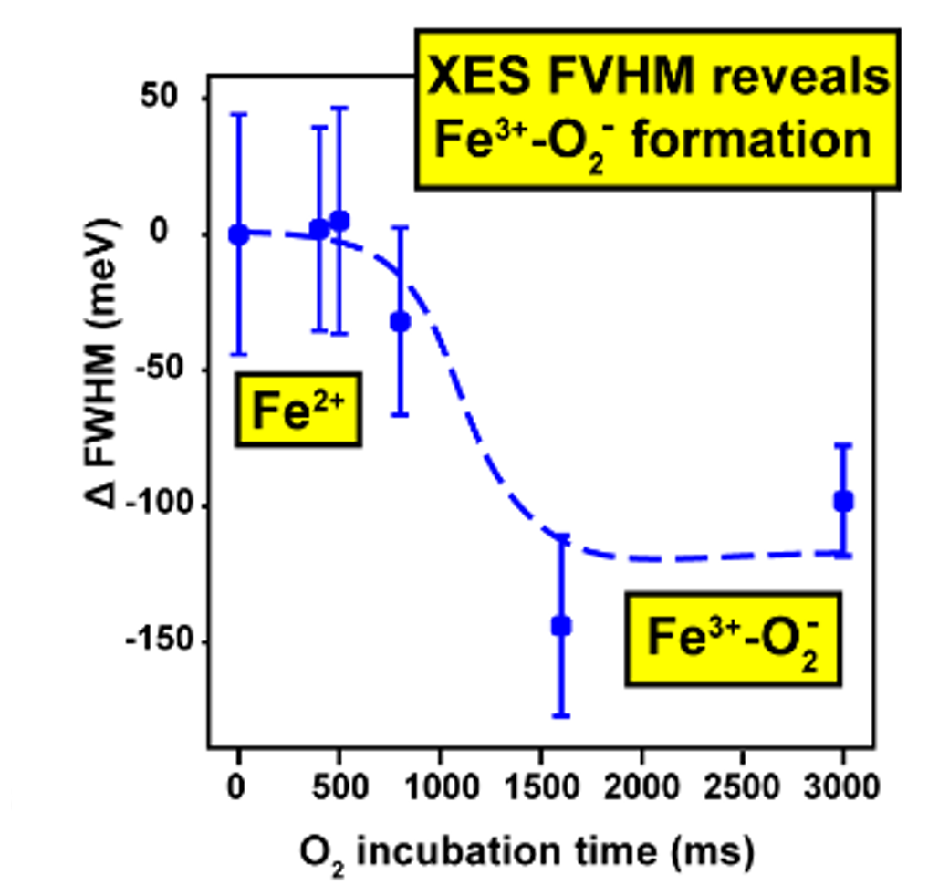 molecular movie figure