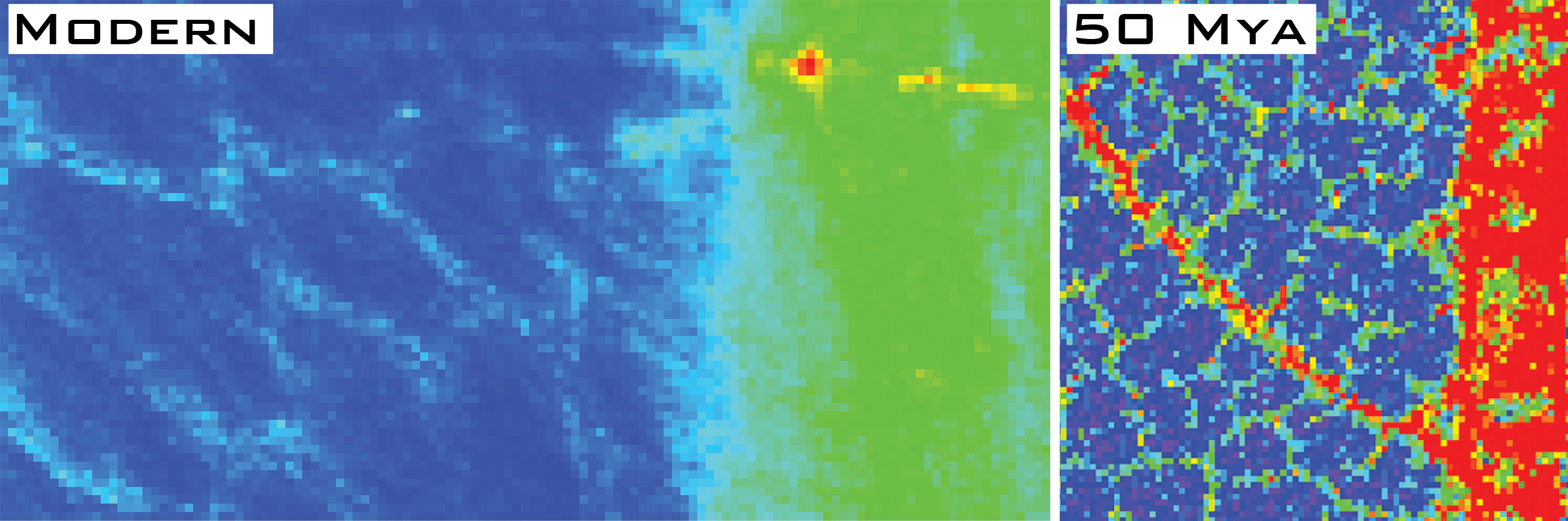 Fine scale false colour X-ray map of the Cu distribution within a modern leaf (left) compared to a 50 million year old fossil leaf (right). Primary, secondary, and tertiary venation comparable to the modern leaf can be resolved in the Cu distribution even after 50 million years of aging. Data acquired at the Diamond Light Source (left panel), the UK’s national synchrotron science facility, and the Stanford Synchrotron Radiation Lightsource (right panel), a national user facility operated by Stanford University on behalf of the U.S. Department of Energy, Office of Basic Energy Sciences.  Image widths: left ~2.5 mm, right ~10 mm.<br/>Reproduced with permission of the Royal Society of Chemistry from Nicholas Paul Edwards, Phillip Lars Manning, Uwe Bergmann, Peter Lars Larson, Bart van Dongen, William I Sellers, Samuel M Webb, Dimosthenis Sokaras, Roberto Alonso Mori, Konstantin Ignatyev, Holly E Barden, Arjen van Veelen, Jennifer Anne, Victoria M Egerton and Roy A Wogelius, Metallomics, 2014, DOI: 10.1039/C3MT00242J (link to http://dx.doi.org/10.1039/C3MT00242J).<br/>