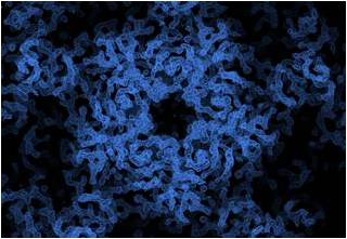 Electron density map of EV71