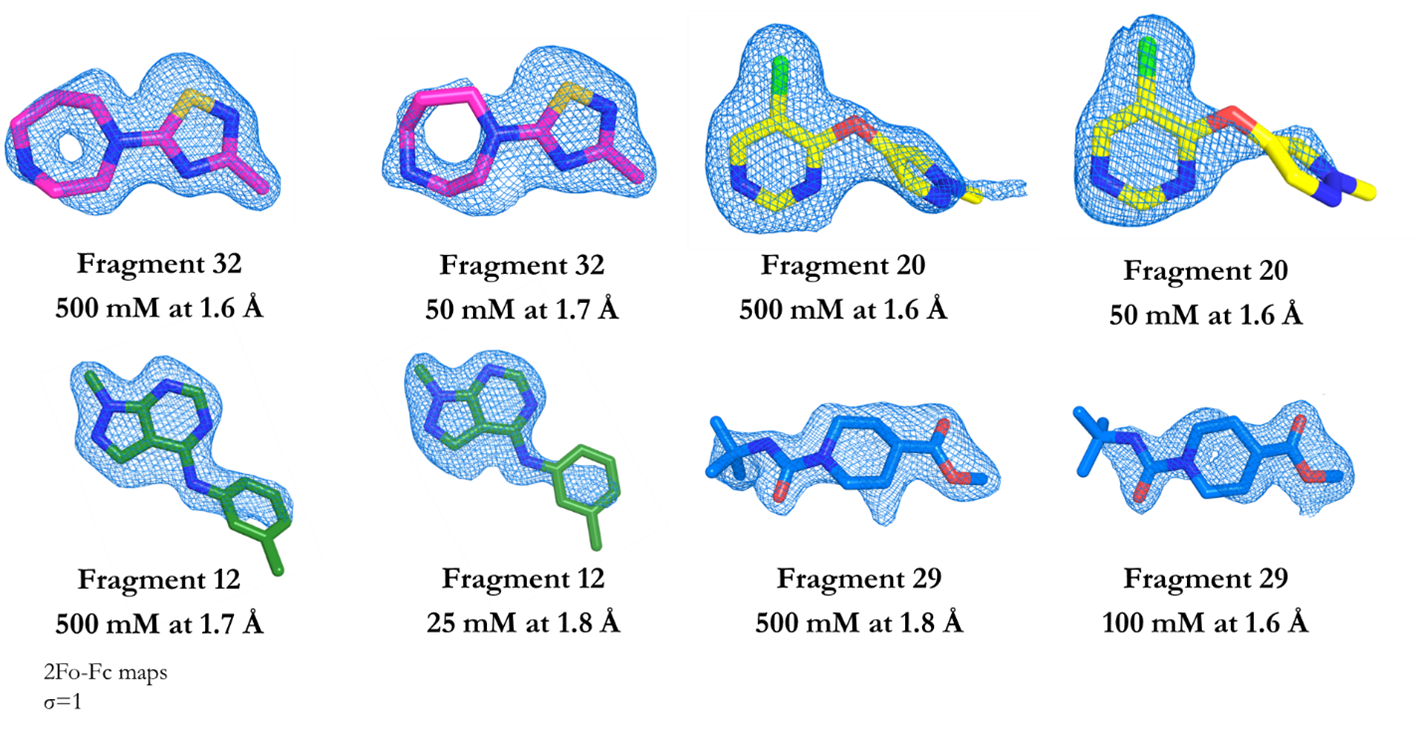 The relative strength of fragment 2Fo-Fc maps at differing concentrations, for four ligands bound to NUDT5.