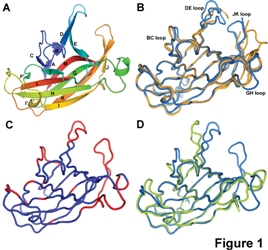 Structure of EphA4