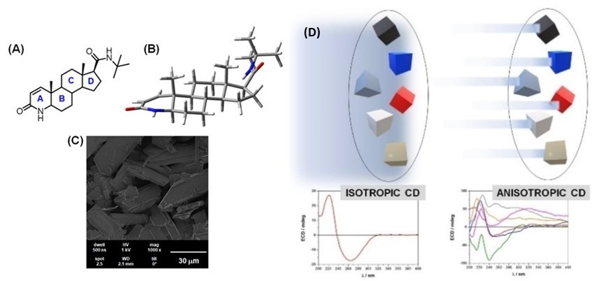 2D structure (A), 3D X-ray structure (B), and scanning electron micrographs of the crystal form I of finasteride (C), and CD spectra of the sample in solution (isotropic) and in the microcrystalline form (anisotropic), of which the latter can only be measure with B23 beamline unattainable with bench-top CD instruments (D).  <br/>Image reused from DOI: 10.1002/chem.202103632 under the CC BY 2.0 license.