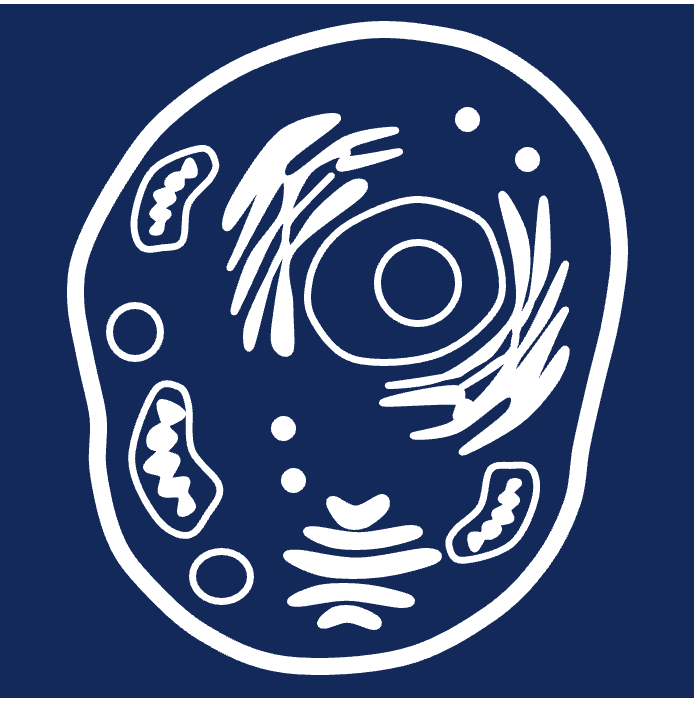 fib icon