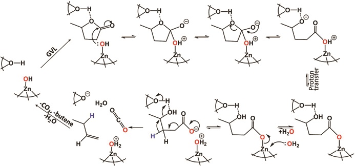 Figure 3: The proposed mechanism for aromatics production via butene formation whereby the initial step of cooperative ring opening hydrolytic decarboxylation of gamma-valerolactone (GVL)
<br/>with water molecule activation over Zn/ZSM-5 is similar to that of Zn-containing enzymatic catalysis. [Reused from SI of doi:10.1002/anie.201704347(2017)]