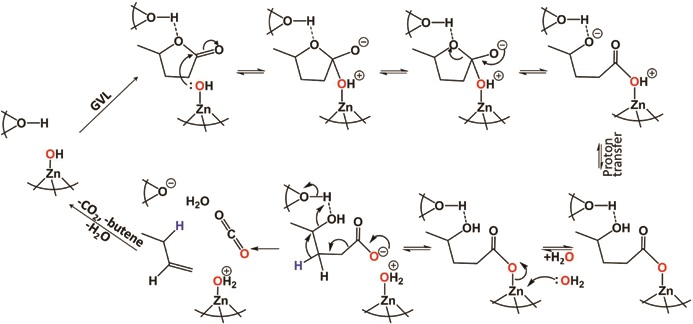 Figure 3: The proposed mechanism for aromatics production via butene formation whereby the initial step of cooperative ring opening hydrolytic decarboxylation of gamma-valerolactone (GVL)<br/>with water molecule activation over Zn/ZSM-5 is similar to that of Zn-containing enzymatic catalysis. [Reused from SI of doi:10.1002/anie.201704347(2017)]