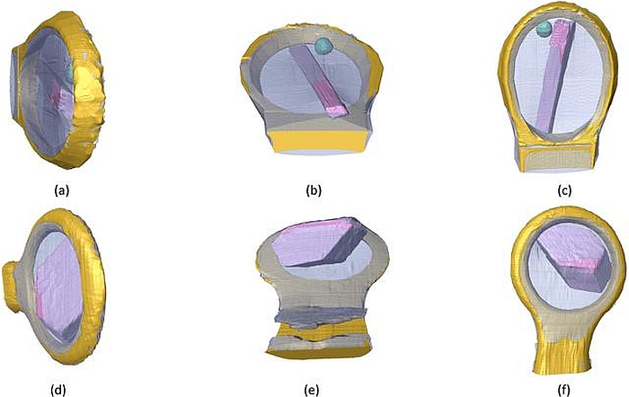 Figure 3: Volume renderings of segmentations of OmpK36 [(a)–(c)] and Cld [(d)–(f)]. Transparent blue: mother liquor; gold: loop; pink: crystal; green: protein/detergent aggregate