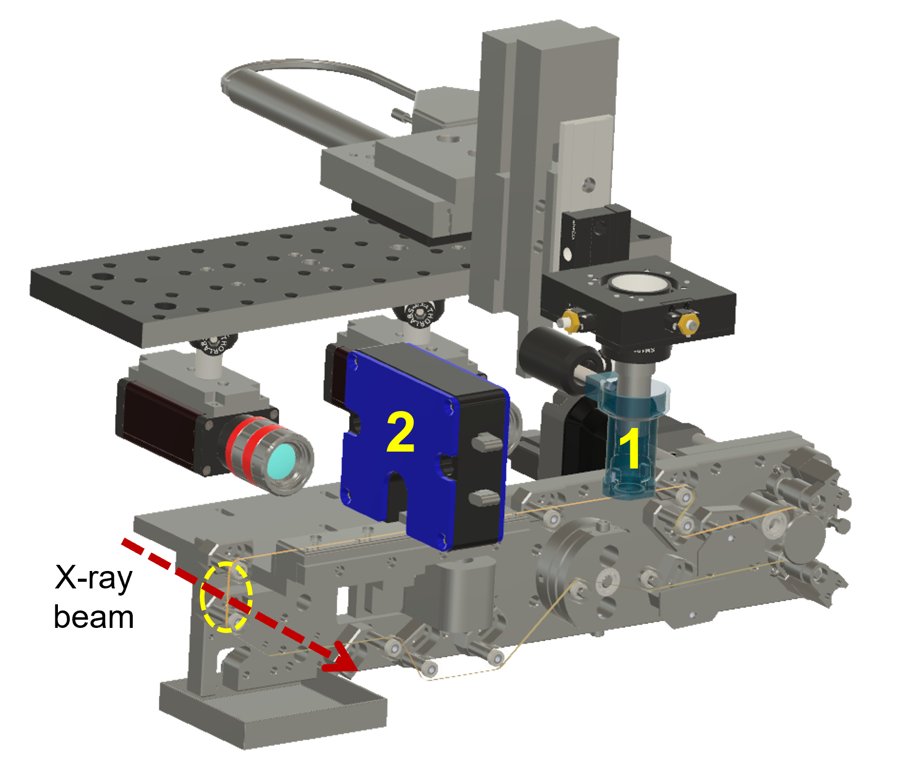 A schematic of the drop-on-drop sample delivery strategy for time-resolved serial femtosecond crystallography (tr-SFX).